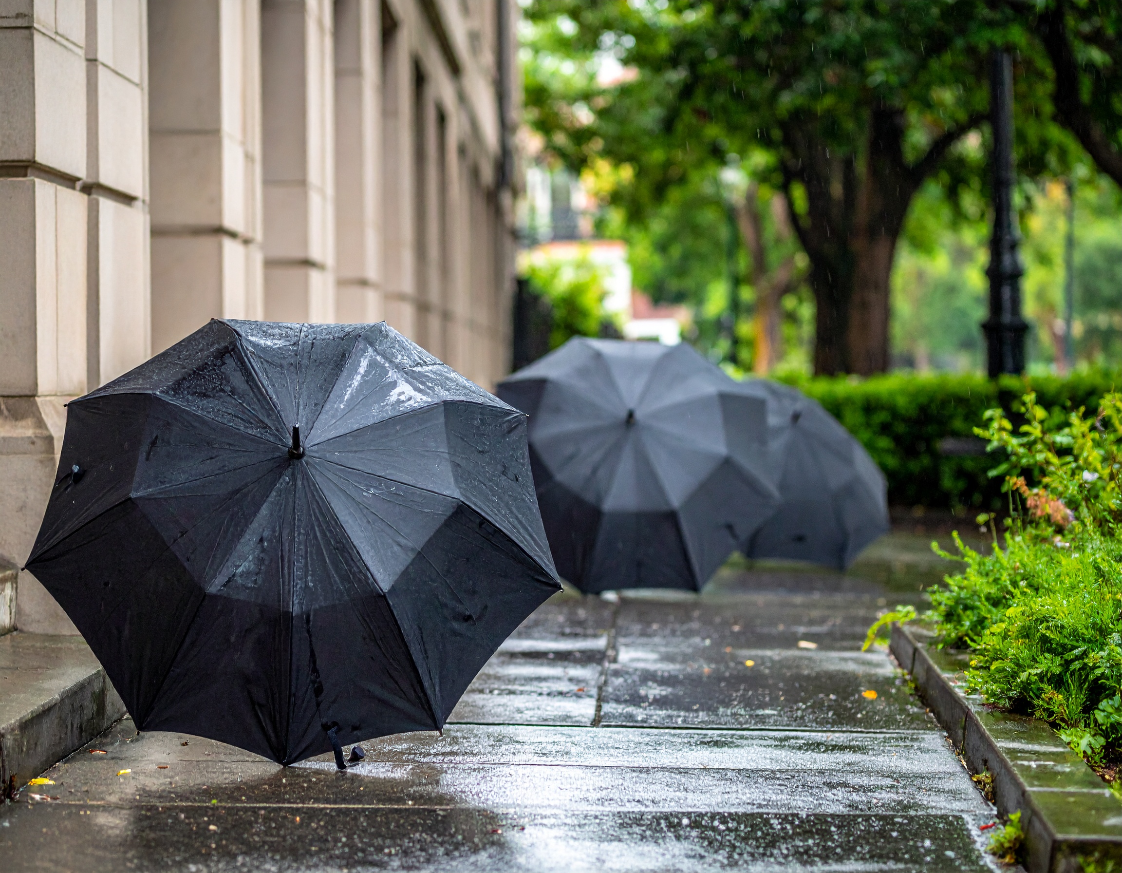 【葬儀動画】急ぎならこれ！DVD不要で即日MP4ダウンロード